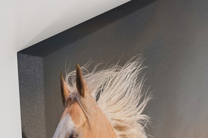 Beauty with Wilderness - Running horses Wall Art HD - horse prints, horse wall art, horse posters, abstract horse painting, horse canvas art, horse art, horse canvas, horse artwork, horse paintings on canvas, abstract horse art, horse canvas art, large canvas art, running horse canvas art, running horse painting, wild horse prints, animal canvas art.