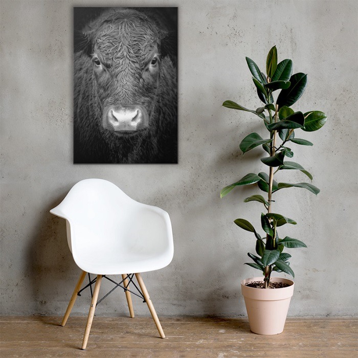 New Keep Persistence - Taurus Bull Inspirational bull wall art animal canvas art